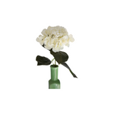 Hortensia vit 62 cm