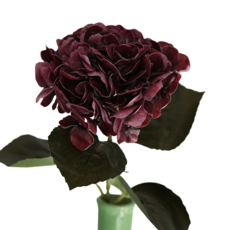 Hortensia vinröd 62 cm