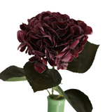 Hortensia vinröd 62 cm