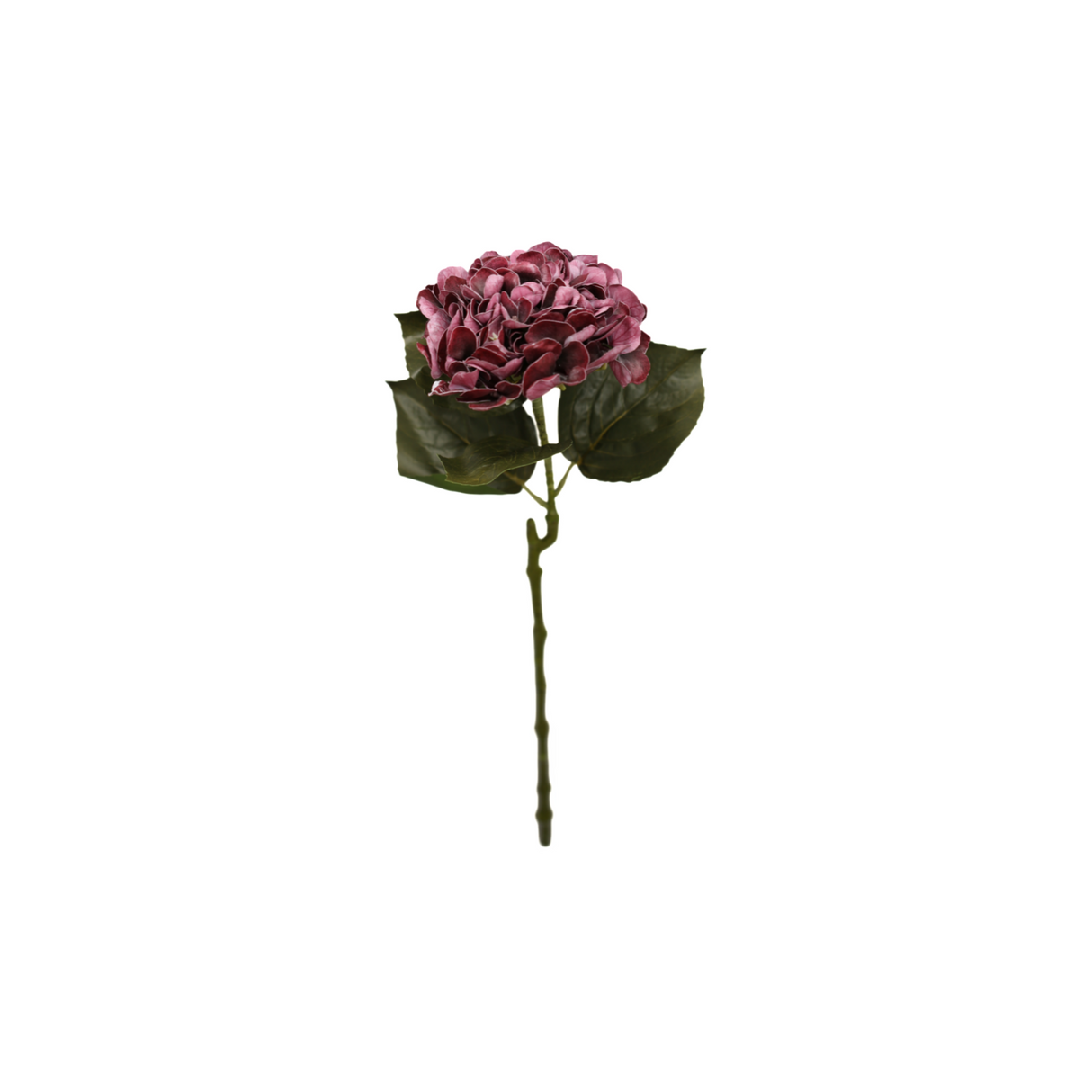 Hortensia vinröd 62 cm