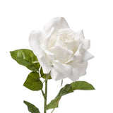 Rose vit 64 cm