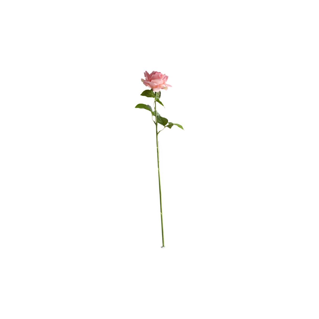 Rose rosa 64 cm