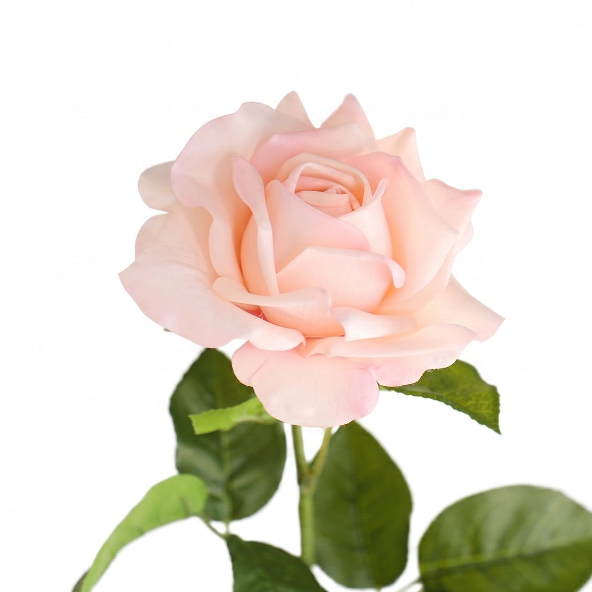 Rose ljusrosa 64 cm