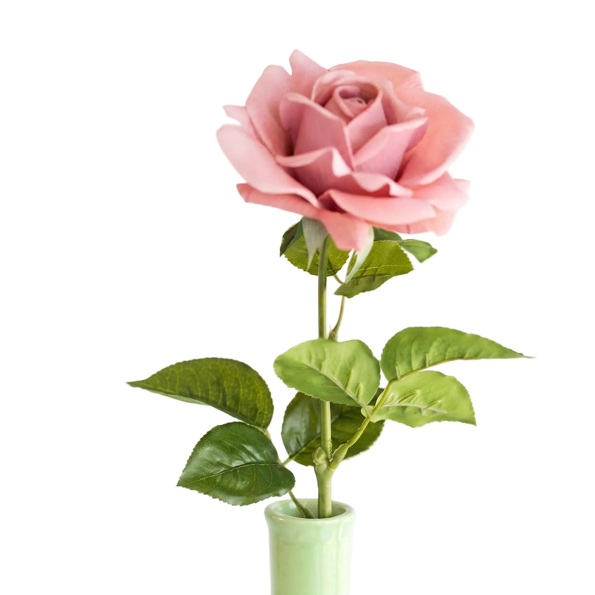 Rose gammelrosa 64 cm