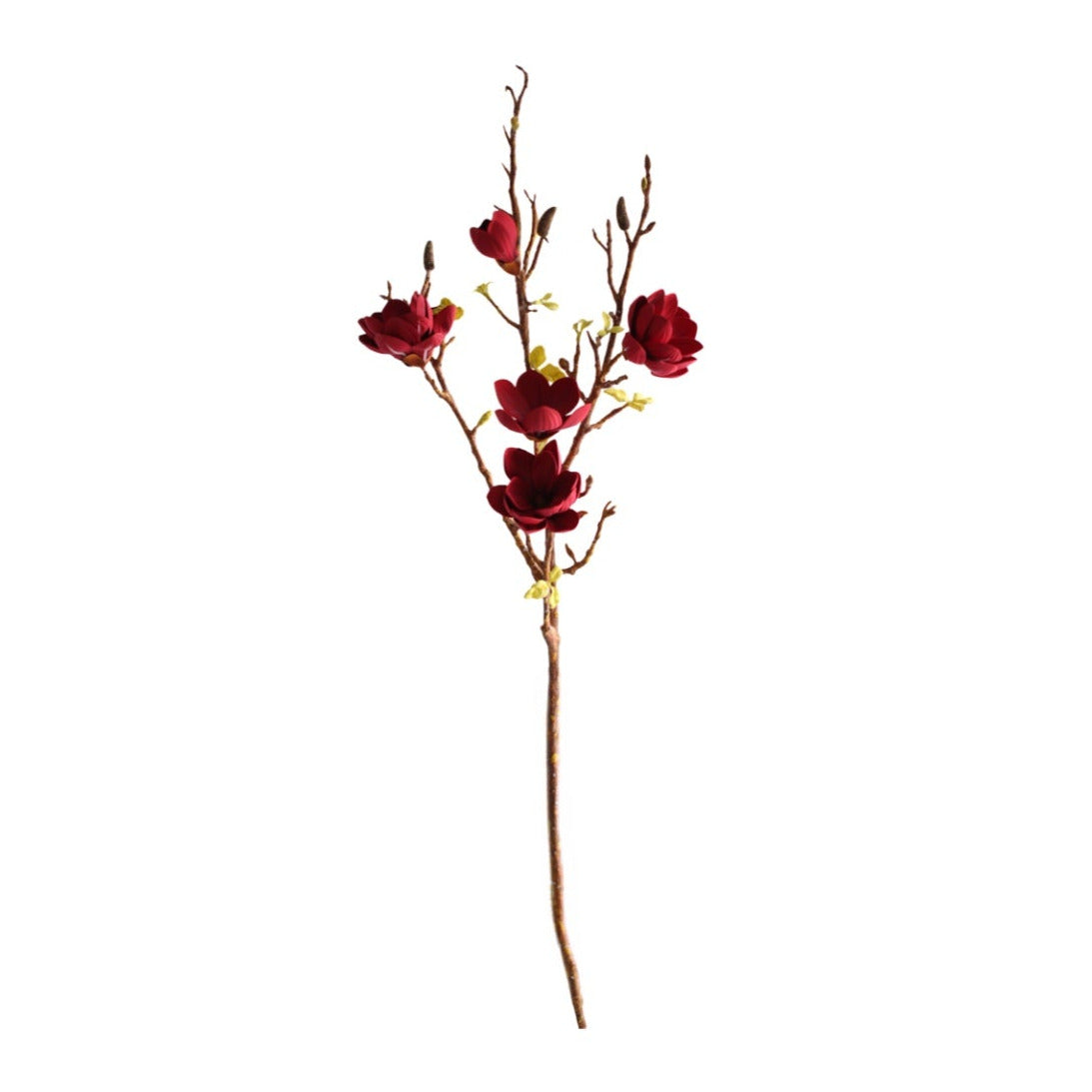 Magnolia vinröd 106 cm
