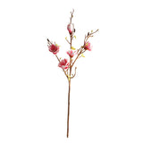 Magnolia ljusrosa 106 cm