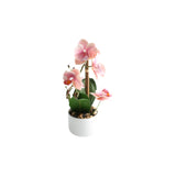Orkidé rosa 30 cm