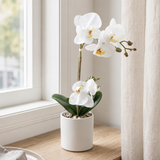 Orkidé vit 35 cm