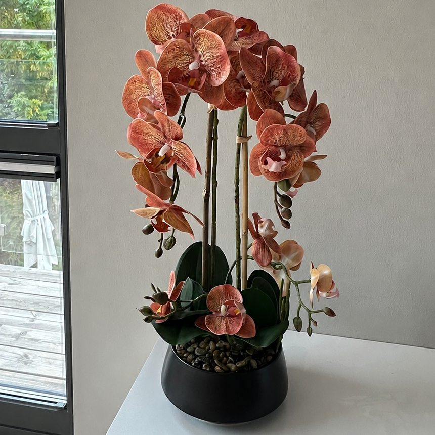 Orkidé brun/vinröd 47 cm