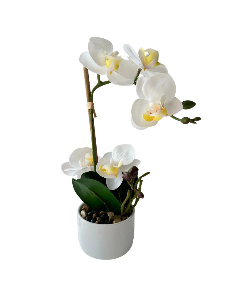 Orkidé vit 30 cm