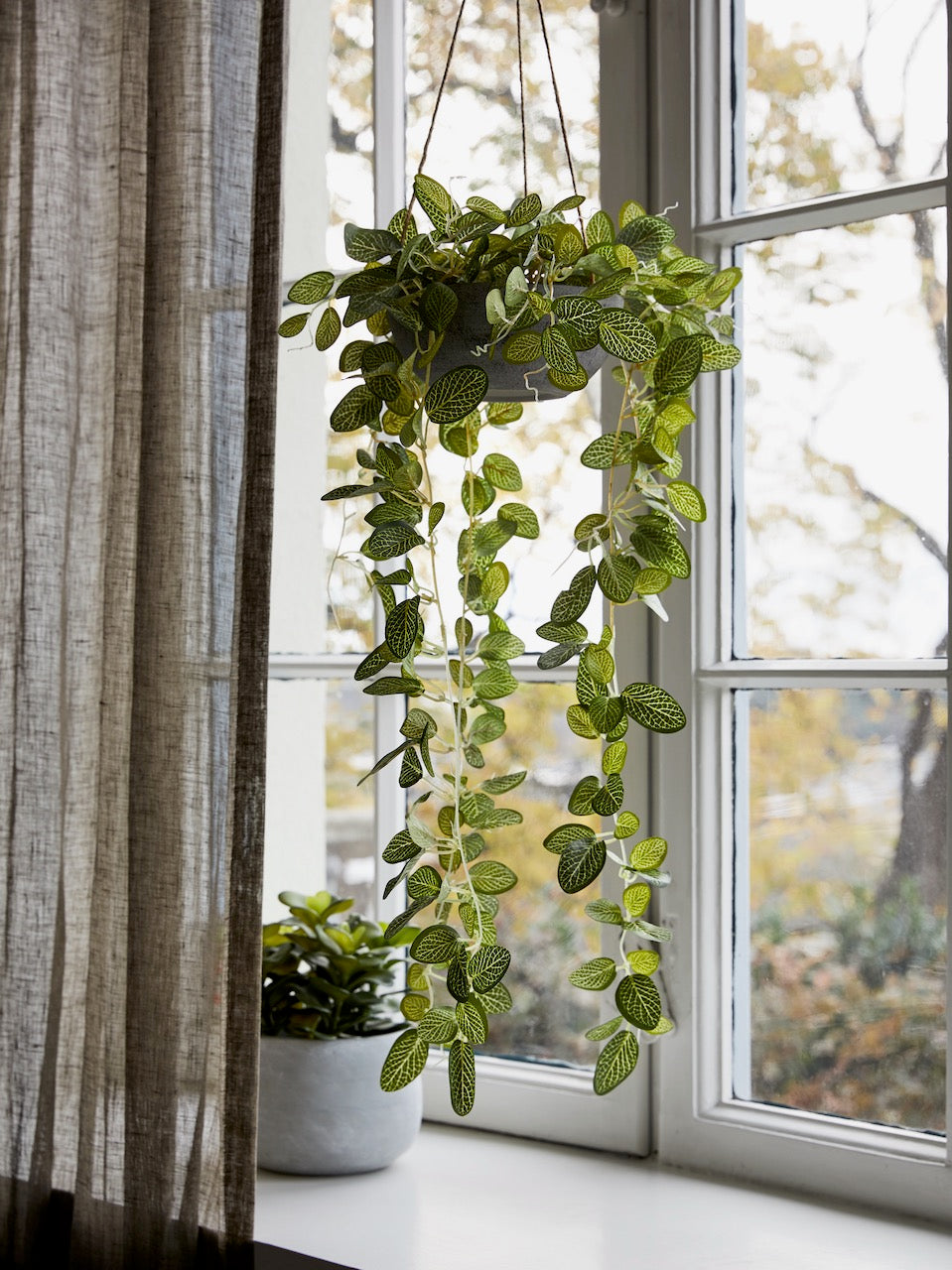 Flora Olivine