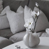 Allium vas